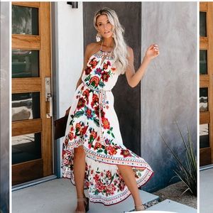 Vici Granada maxi dress